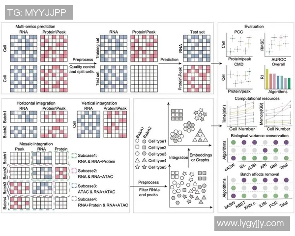 王者荣耀中FPX战队的战术意识与团队配合深度分析 王者荣耀中FPX战队的战术意识与团队配合深度分析